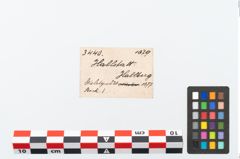 Etikett zu Eisenlanzenspitze (NHMW-PRAE-003440)